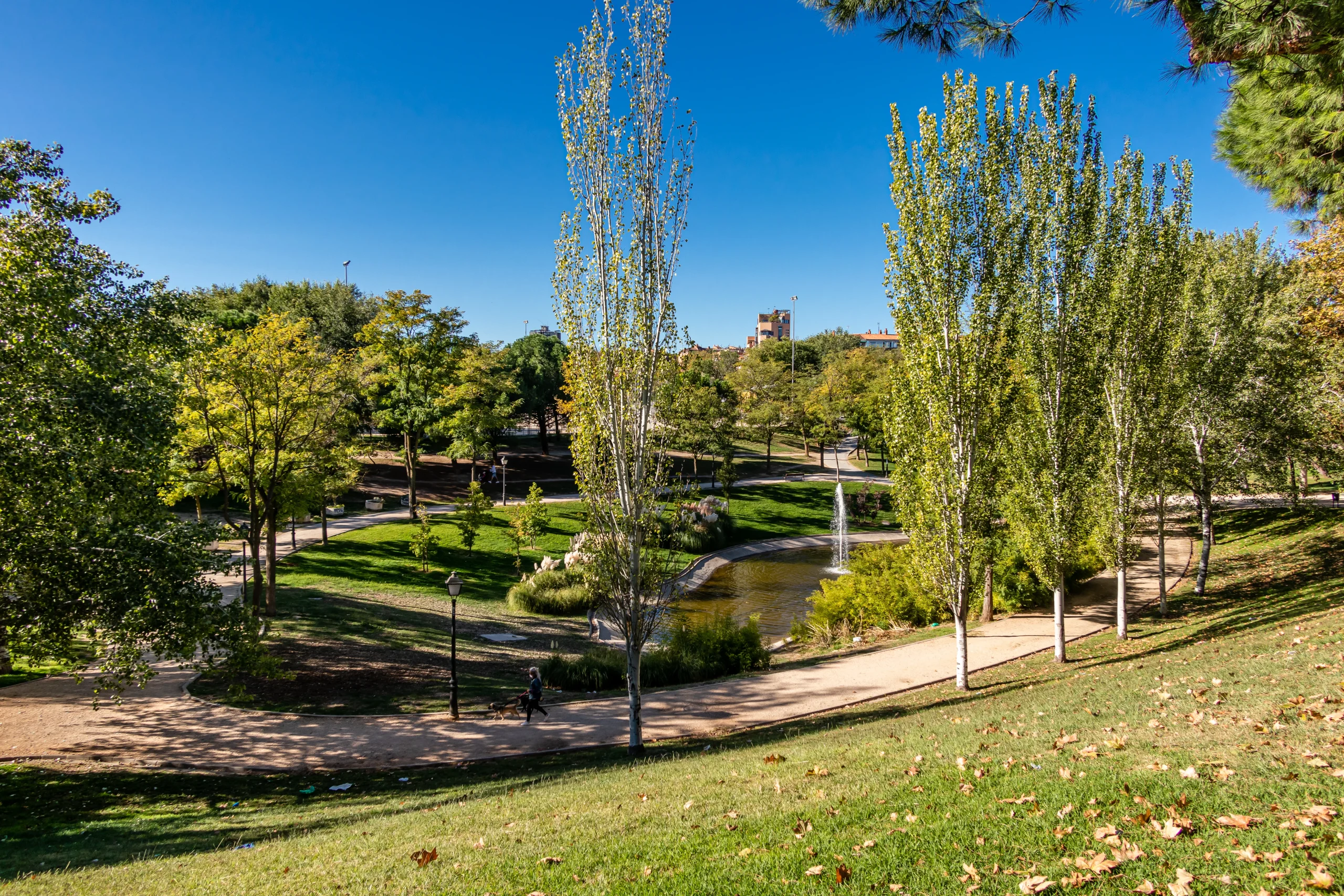 Parque de San Isidro