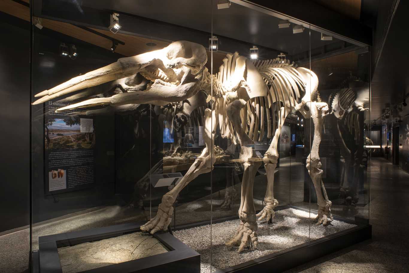 Madrid: del Museo Regional al gran centro europeo de arqueología