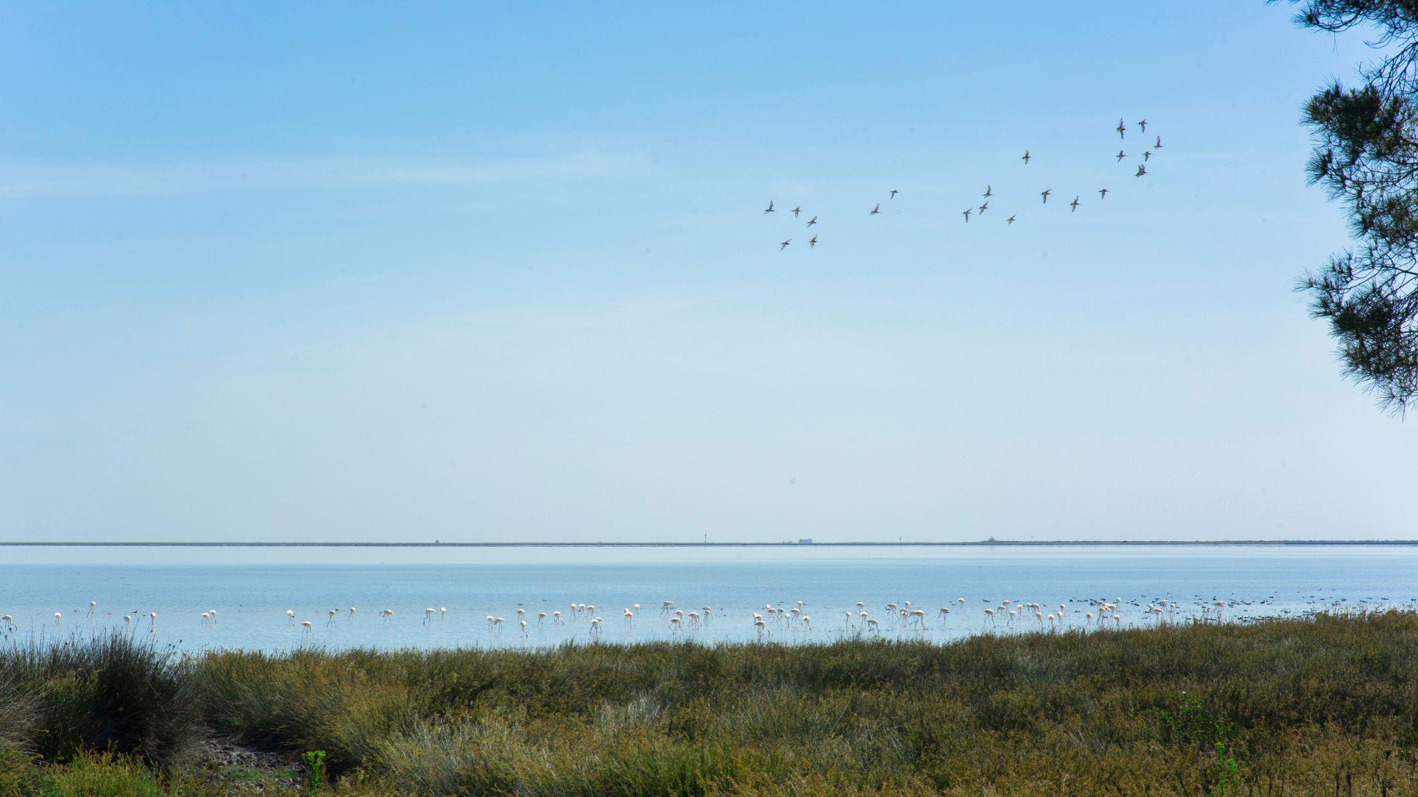 Campo artesania y agroturismo