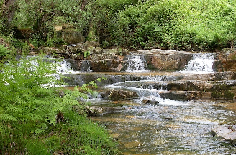 Informe Turium para el Principado de Asturias: liderazgo en el Turismo de Naturaleza