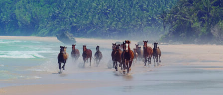 La aventura de descubrir Indonesia más allá de Bali