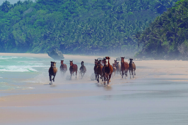 La aventura de descubrir Indonesia más allá de Bali
