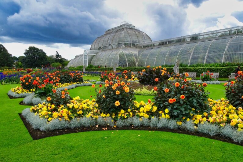 Kew Gardens, el jardín botánico más famoso del mundo está en Londres (y estos son sus secretos)