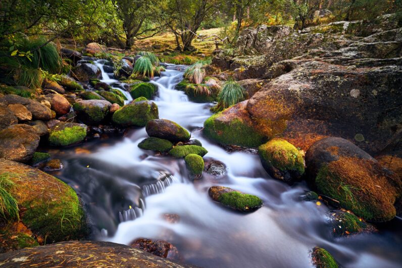 El bosque escondido a menos de una hora de Madrid que parece un paisaje de Asturias