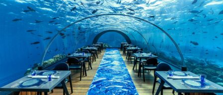 Cenas submarinas: estos son los restaurantes más exclusivos bajo el mar