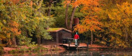 Este Bosque Finlandés a una hora de Madrid es la escapada perfecta para visitar el norte de Europa sin salir de España