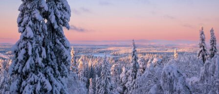 Laponia en Navidad: iglús, auroras boreales y viajes en trineo al pueblo de Papá Noel
