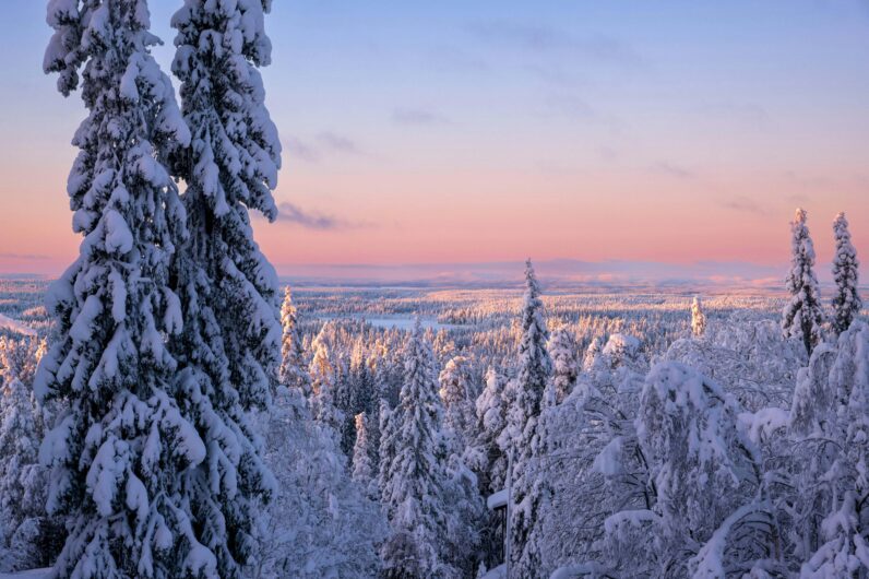 Laponia en Navidad: iglús, auroras boreales y viajes en trineo al pueblo de Papá Noel