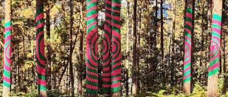 Oma, el bosque encantado en el corazón del País Vasco donde los árboles son obras de arte
