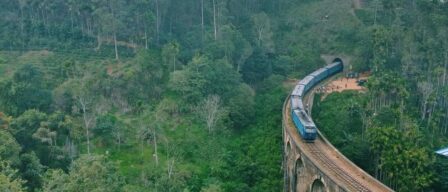 El viaje en tren más espectacular se vive en Sri Lanka: una ruta de aventura entre plantaciones de té y paisajes de ensueño
