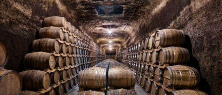Todas las rutas del vino de Castilla-La Mancha