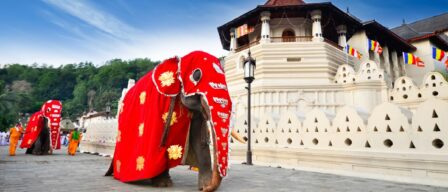Un paseo cultural por Sri Lanka: edificios históricos, ciudades Patrimonio de la Humanidad y festivales sagrados