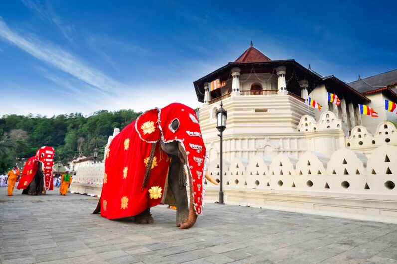 Un paseo cultural por Sri Lanka: edificios históricos, ciudades Patrimonio de la Humanidad y festivales sagrados