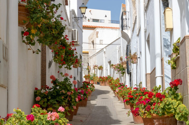 Ni Mojácar ni Níjar, el pueblo más bonito de Almería tiene más macetas con flores que habitantes