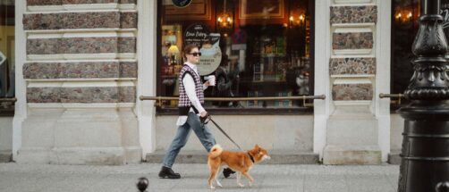 Viajar con mascota por todo lo alto: hoteles, vuelos y destinos para humanos con perro