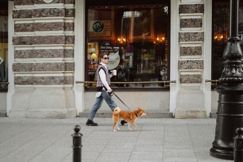 Viajar con mascota por todo lo alto: hoteles, vuelos y destinos para humanos con perro