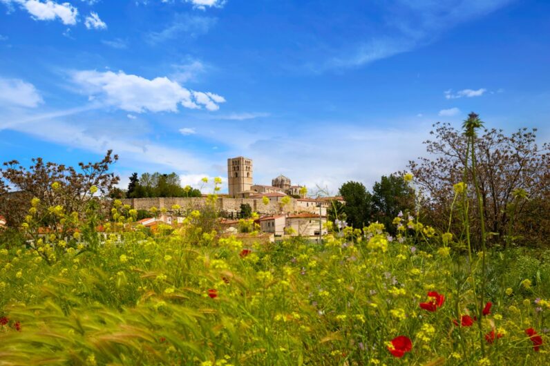 Es el rincón del norte más bonito: se llena de amapolas en primavera, está en Zamora y es la escapada perfecta para disfrutar de la naturaleza