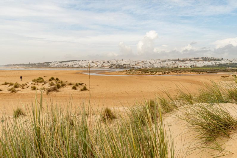 Esta ruta de senderismo sale del Cabo de Trafalgar, desemboca en Conil y pasa por las playas más bonitas de Cádiz