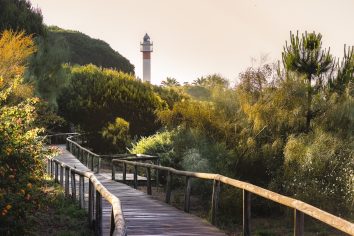 Esta ruta de senderismo pasa por marismas y playas paradisíacas: es la más bonita de Andalucía