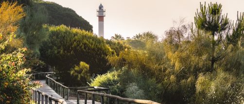 Esta ruta de senderismo pasa por marismas y playas paradisíacas: es la más bonita de Andalucía