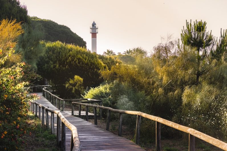 Esta ruta de senderismo pasa por marismas y playas paradisíacas: es la más bonita de Andalucía
