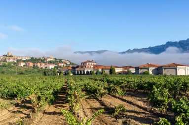 Dicen que es el pueblo medieval más bonito de la Rioja Alavesa: está protegido por murallas y es perfecto para visitar en otoño