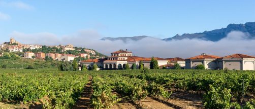 Dicen que es el pueblo medieval más bonito de la Rioja Alavesa: está protegido por murallas y es perfecto para visitar en otoño