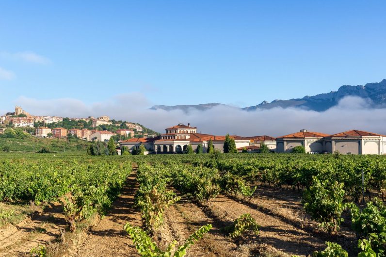 Dicen que es el pueblo medieval más bonito de la Rioja Alavesa: está protegido por murallas y es perfecto para visitar en otoño