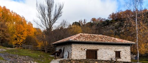 Este pueblo a una hora de Madrid tiene un bosque único declarado Patrimonio de la Humanidad: es el más bonito para visitar en otoño