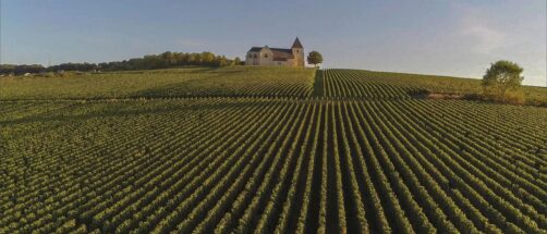 Destinos con los mejores productos gastro para regalar en Navidad