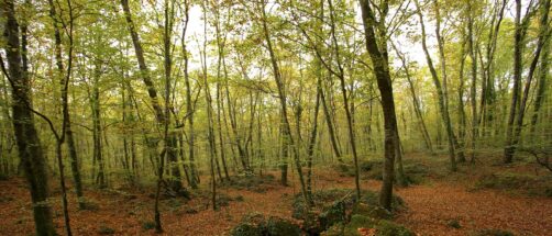 Accesible y preciosa en todas las estaciones del a&ntilde;o: esta es la mejor ruta de senderismo del Pirineo