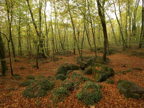 Accesible y preciosa en todas las estaciones del a&ntilde;o: esta es la mejor ruta de senderismo del Pirineo