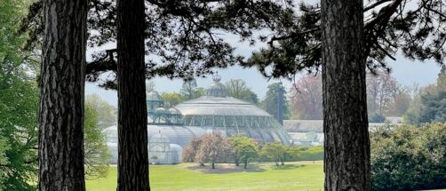 Por qu&eacute; tienes que visitar los invernaderos de los reyes de B&eacute;lgica: una primavera id&iacute;lica en Bruselas