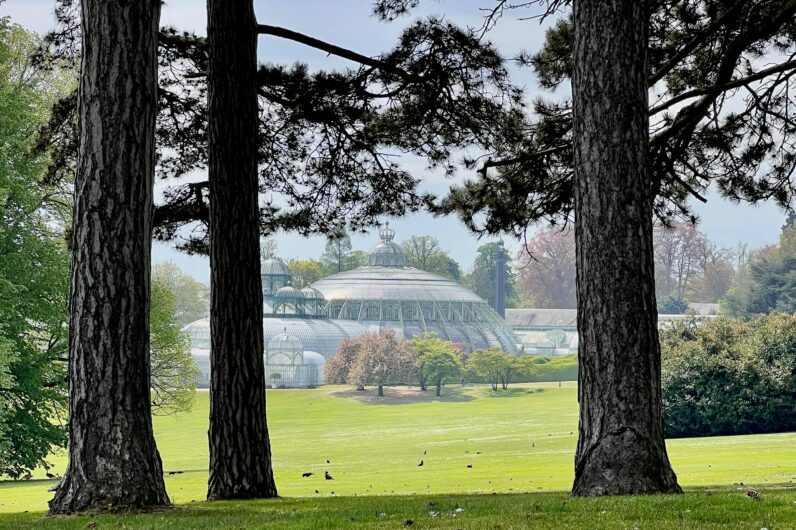 Por qu&eacute; tienes que visitar los invernaderos de los reyes de B&eacute;lgica: una primavera id&iacute;lica en Bruselas