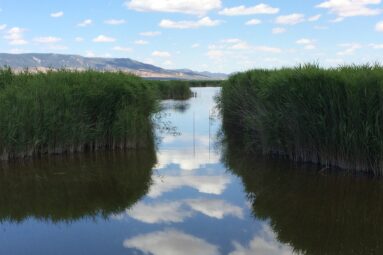 El paraíso a solo dos horas de Madrid: una ruta de senderismo por un humedal único en Europa