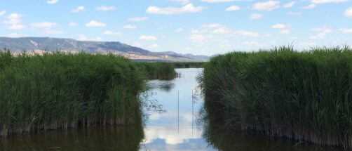 El para&iacute;so a solo dos horas de Madrid: una ruta de senderismo por un humedal &uacute;nico en Europa