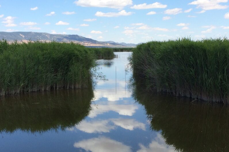El para&iacute;so a solo dos horas de Madrid: una ruta de senderismo por un humedal &uacute;nico en Europa