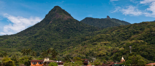 En estas playas paradis&iacute;acas de Brasil, la selva llega hasta el agua y solo se pueden recorrer en barco o a pie