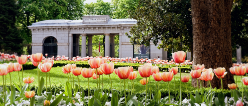 Por qu&eacute; el Jard&iacute;n Bot&aacute;nico de Madrid es el mejor plan para el puente de mayo: florecen m&aacute;s de 3.000 rosales