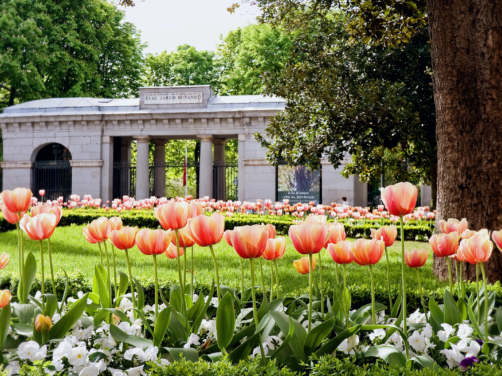 Por qu&eacute; el Jard&iacute;n Bot&aacute;nico de Madrid es el mejor plan para el puente de mayo: florecen m&aacute;s de 3.000 rosales