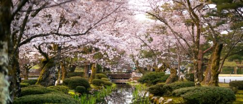 Ni Tokio ni Kioto: por qu&eacute; Kanazawa es la mejor parada si viajas a Jap&oacute;n