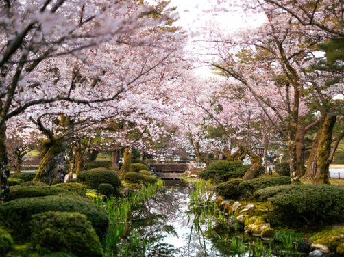 Ni Tokio ni Kioto: por qu&eacute; Kanazawa es la mejor parada si viajas a Jap&oacute;n