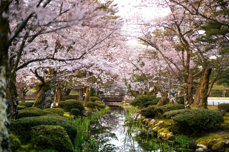 Ni Tokio ni Kioto: por qu&eacute; Kanazawa es la mejor parada si viajas a Jap&oacute;n