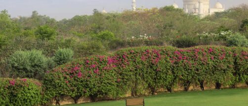 Oberoi Amarvilas: este hotel en Agra tiene las mejores vistas al Taj Mahal y muy pocos lo conocen de verdad