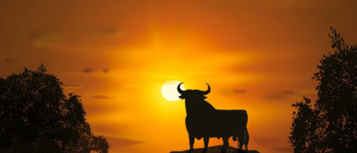 92 toros, 14 comunidades y una silueta imposible de confundir: el aniversario del gran icono pop espa&ntilde;ol