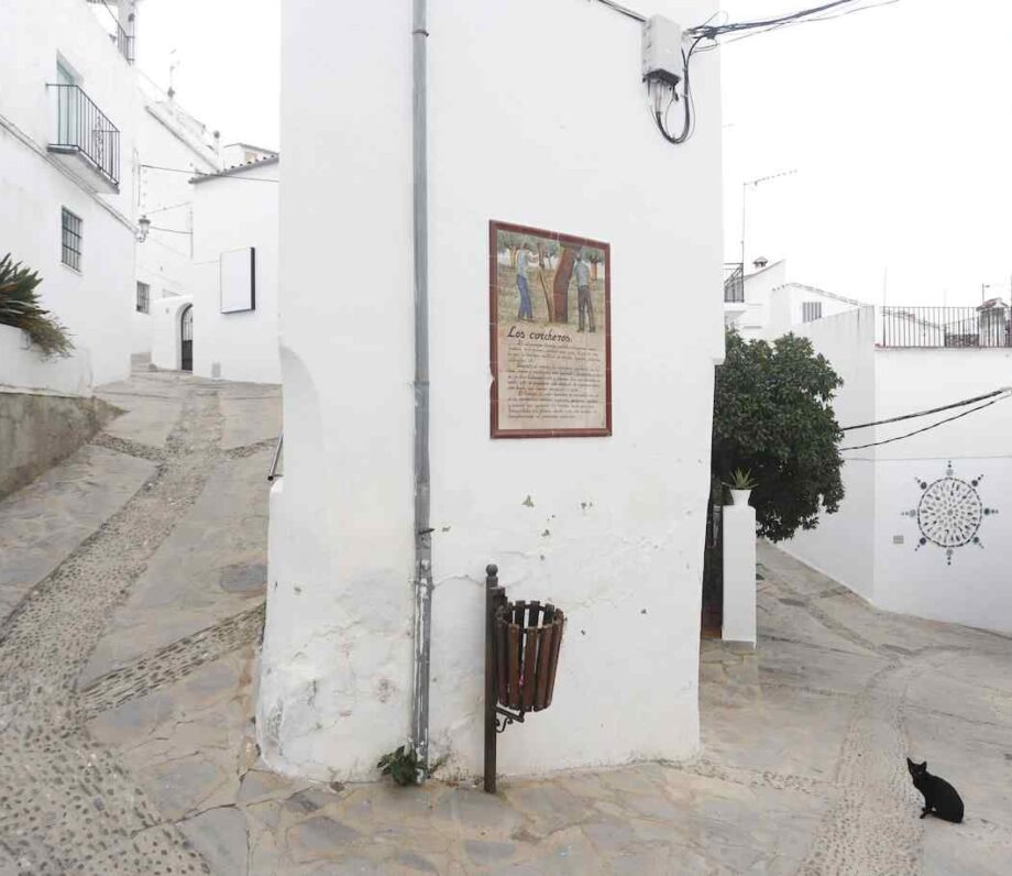 texto alternativo
