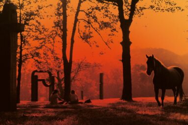 En este museo al aire libre del norte de Espa&ntilde;a podr&aacute;s vivir el solsticio de verano y el eclipse solar de una manera &uacute;nica