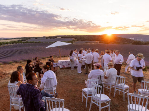Discover-Eat: referentes internacionales apuestan por la gastronom&iacute;a como palanca estrat&eacute;gica del turismo rural