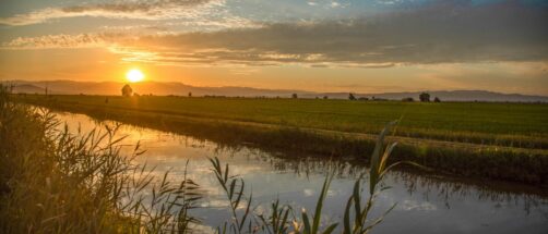 Por qu&eacute; tienes que ir al Delta del Ebro: las mejores puestas de sol, un paseo en barca y la isla de Buda