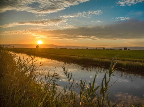 Por qu&eacute; tienes que ir al Delta del Ebro: las mejores puestas de sol, un paseo en barca y la isla de Buda